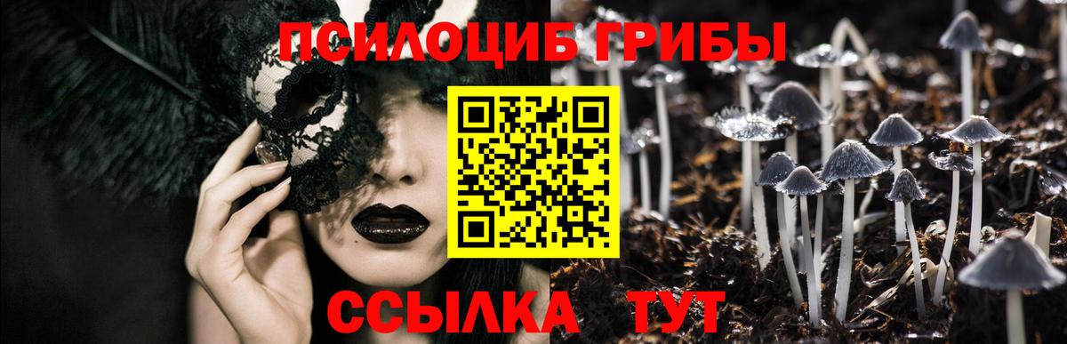 Псилоцибиновые грибы Magic Shrooms  Псилоцибиновые грибы прущие грибы  Вход с VPN  Долгопрудный 